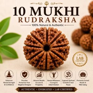 10 Mukhi Rudraksha
