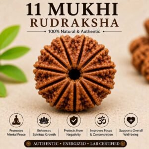 11 Mukhi Rudraksha