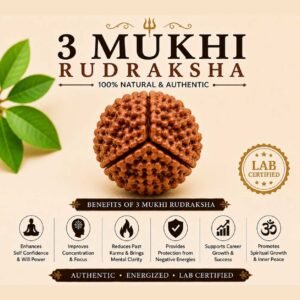3 Mukhi Rudraksha
