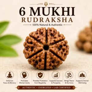 6 Mukhi Rudraksha