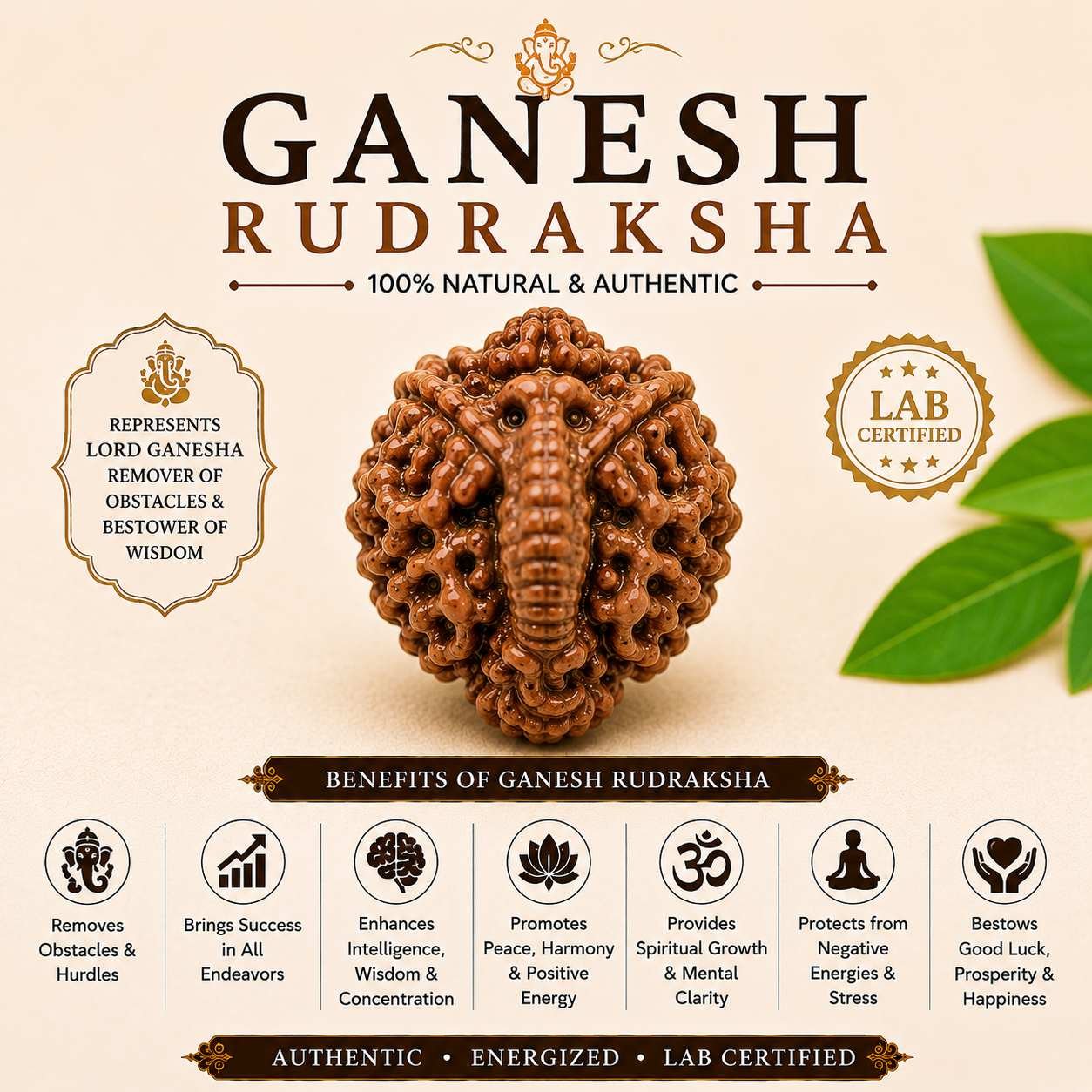 Ganesh Rudraksha