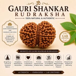 Gauri Shankar Rudraksha